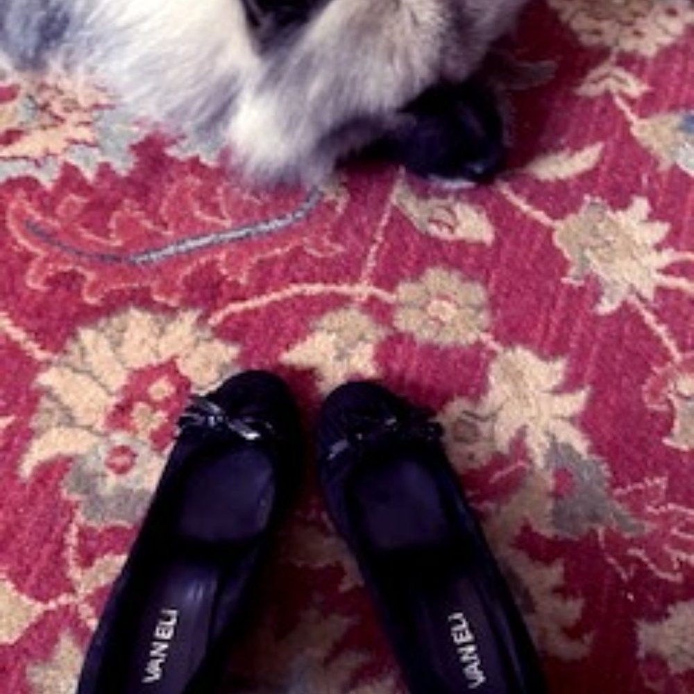 Vaneli Black Suede Wedge 6W
